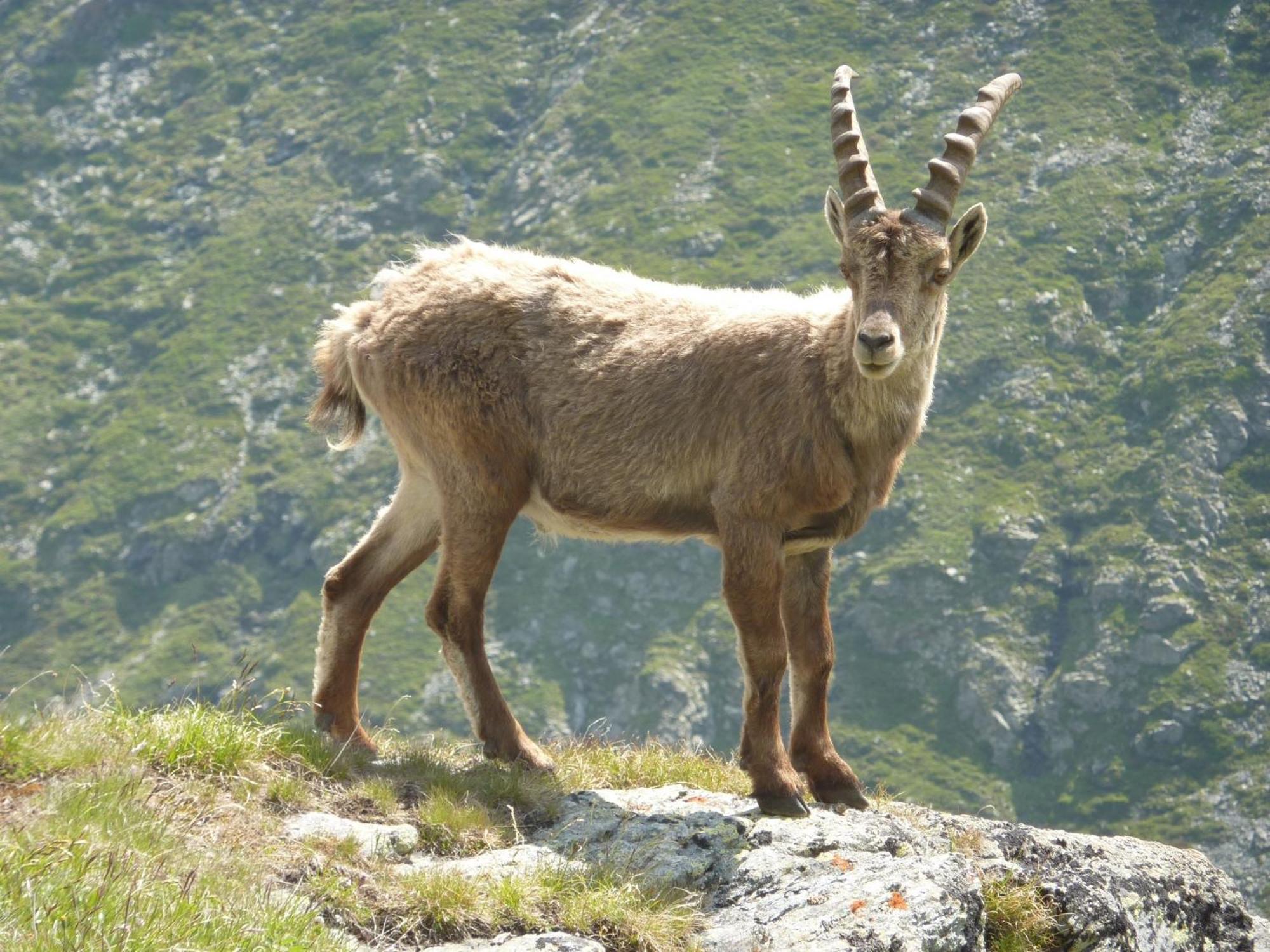 Les Glieres - Champagny-En-Vanoise La Plagne Kültér fotó